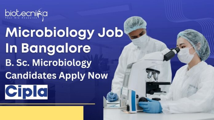 Cipla Microbiology Job Bangalore – Apply Now!