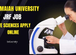 Ramaiah University JRF Job