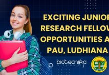 Exciting Junior Research Fellow Opportunities at Punjab Agricultural University! Apply Now! Exciting Junior Research Fellow Opportunities at PAU, Ludhiana