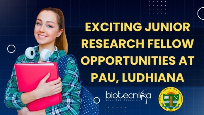 Exciting Junior Research Fellow Opportunities at PAU, Ludhiana