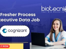 Fresher Process Executive Data Job At Cognizant
