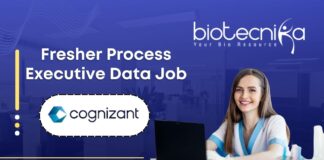 Fresher Process Executive Data Job At Cognizant