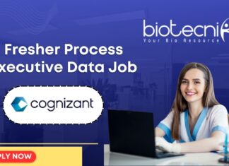 Fresher Process Executive Data Job At Cognizant