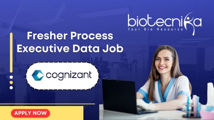 Fresher Process Executive Data Job At Cognizant