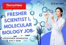 Fresher Thermo Fisher Scientist I, Molecular Biology Job- Lifescience Graduates Apply Now! Fresher Thermo Fisher Scientist I, Molecular Biology Job- Lifescience Graduates Apply Now!
