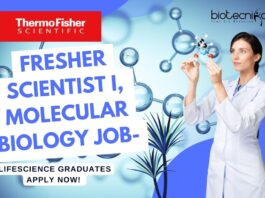 Fresher Thermo Fisher Scientist I, Molecular Biology Job- Lifescience Graduates Apply Now!
