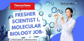 Fresher Thermo Fisher Scientist I, Molecular Biology Job- Lifescience Graduates Apply Now!