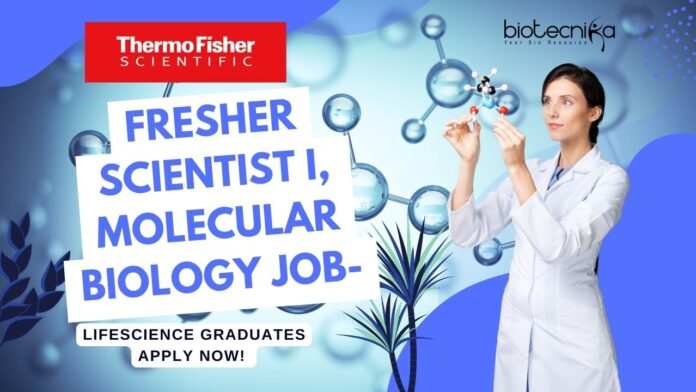 Fresher Thermo Fisher Scientist I, Molecular Biology Job- Lifescience Graduates Apply Now!