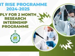 DSTBT RISE Programme 2024-2025