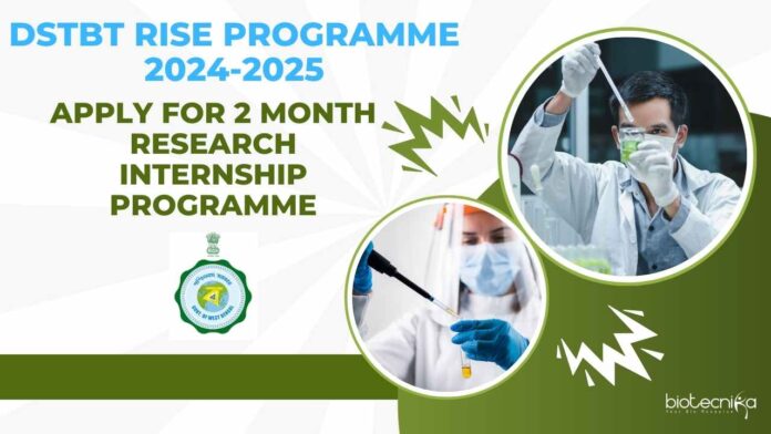 DSTBT RISE Programme 2024-2025