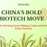 China Set To Develop Gene Editing Tools
