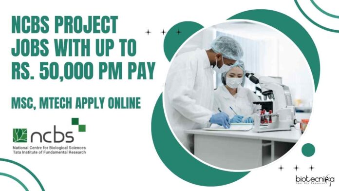 NCBS Project Jobs