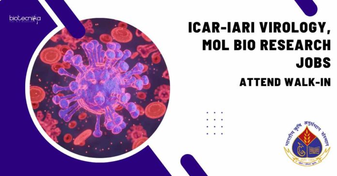ICAR-IARI Virology Research Job