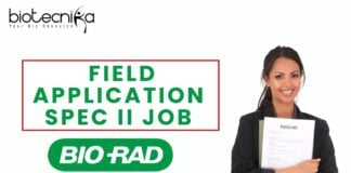 Field Application Spec II Job