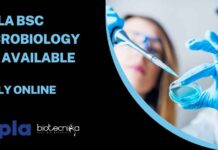 Cipla BSc Microbiology Job Available – Apply Online Cipla BSc Microbiology Opening