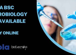 Cipla BSc Microbiology Job Available – Apply Online Cipla BSc Microbiology Opening