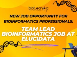New Job Opportunity for Bioinformatics Professionals: Team Lead Bioinformatics Job at Elucidata- Apply Now