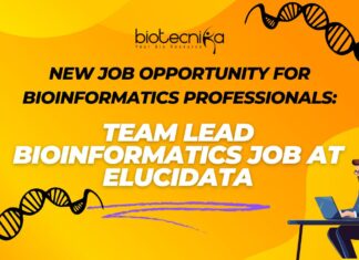 New Job Opportunity for Bioinformatics Professionals: Team Lead Bioinformatics Job at Elucidata- Apply Now New Job Opportunity for Bioinformatics Professionals: Team Lead Bioinformatics Job at Elucidata- Apply Now