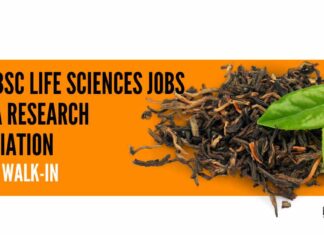 Govt BSc Life Sciences Jobs at Tea Research Association, Attend Walk-In Govt BSc Life Science Jobs at Tea Research Association