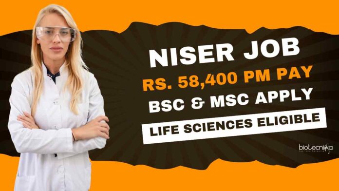 NISER Project Scientific Assistant Job