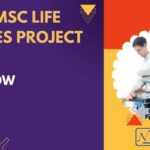 NIBMG MSc Life Sciences Project Job