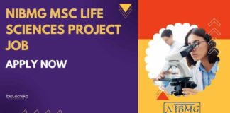 NIBMG MSc Life Sciences Project Job