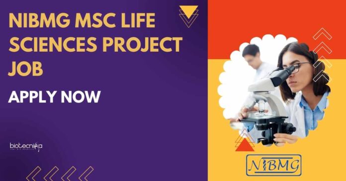 NIBMG MSc Life Sciences Project Job