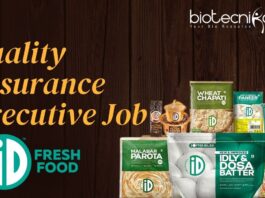 Quality Assurance Executive Job