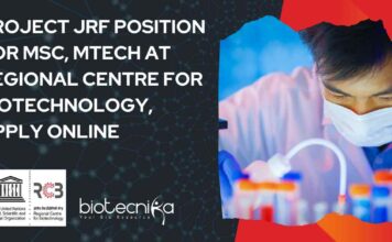 RCB Project Positions 2025