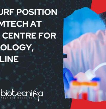 RCB Project Positions 2025