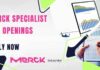 Merck Specialist Job Openings