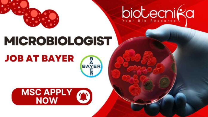 Microbiologist Job at Bayer New