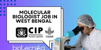 Molecular Biologist Job at CIP in West Bengal – Apply Now