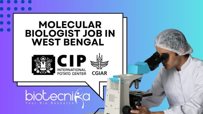 Molecular Biologist Job at CIP in West Bengal – Apply Now