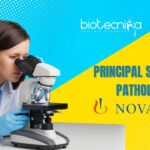 Principal Scientist – Pathology Job at Novartis | Apply Now