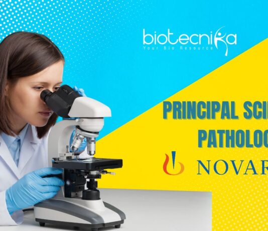 Principal Scientist – Pathology Job at Novartis | Apply Now