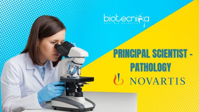 Principal Scientist – Pathology Job at Novartis | Apply Now