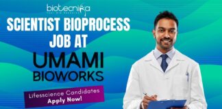 Scientist Bioprocess Job at Umami Bioworks- Lifesscience Candidates Apply Now!