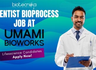 Scientist Bioprocess Job at Umami Bioworks- Lifesscience Candidates Apply Now! Scientist Bioprocess Job at Umami Bioworks- Lifesscience Candidates Apply Now!