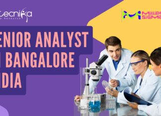 Senior Analyst in Bangalore India