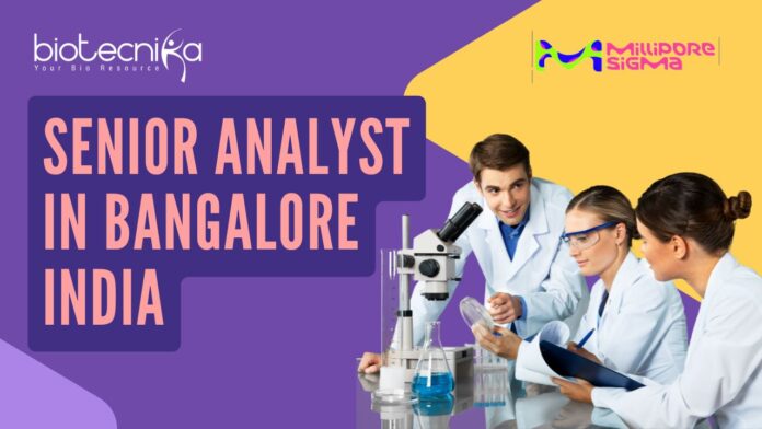 Senior Analyst in Bangalore India