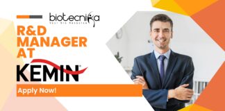 R&D Manager Job Kemin