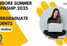 IIT Indore Summer Internship 2025 for Undergraduate Students – Apply Online IIT Indore Summer Internship 2025 for Undergraduate Students - Apply Online
