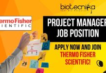 Project Manager Job Position