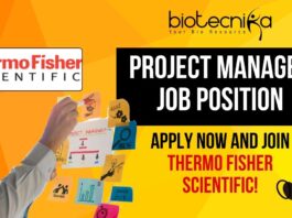 Project Manager Job Position