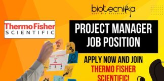 Project Manager Job Position