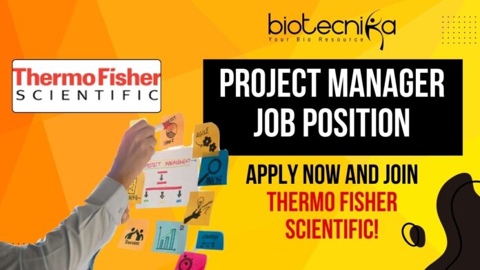 Project Manager Job Position