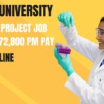 Amity University Non-Med Project Job