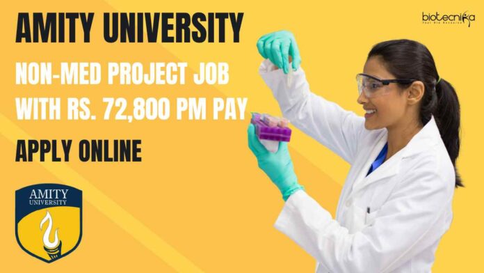 Amity University Non-Med Project Job