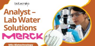 Biotechnology Jobs at Merck - Apply for Analyst Role